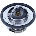 Standard Thermostat: With Seal, 180 Degrees