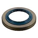 Pinion Shaft Seals