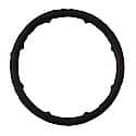 Engine Oil Cooler Line Seal