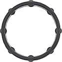 Engine Oil Cooler Gasket