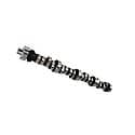 Big Mutha' Thumpr 243/257 Hydraulic Roller Cam