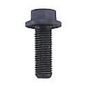 Dodge Magna/ Steyr Front, Ring Gear Bolt