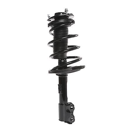 Complete Strut Assembly: Includes Strut, Coil Spring and Mount