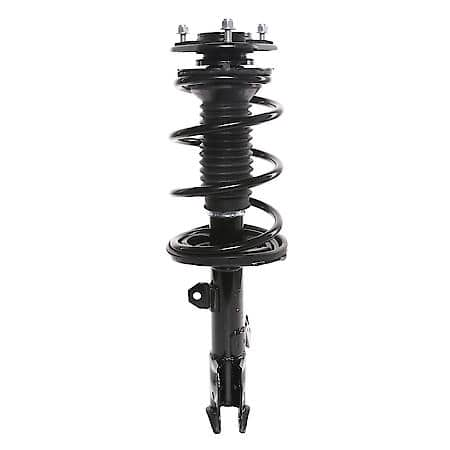 Complete Strut Assembly: Includes Strut, Coil Spring and Mount