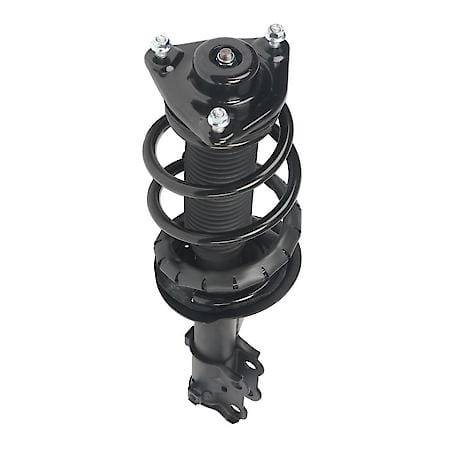 Complete Strut Assembly: Includes Strut, Coil Spring and Mount