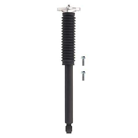 Complete Strut Assembly: Includes Strut, Coil Spring and Mount