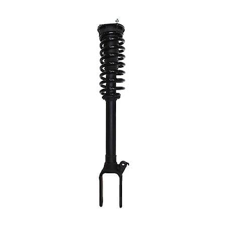 Complete Strut Assembly: Includes Strut, Coil Spring and Mount