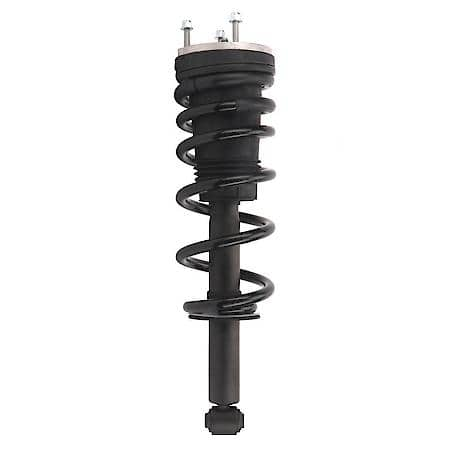 Complete Strut Assembly: Includes Strut, Coil Spring and Mount