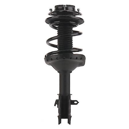 Complete Strut Assembly: Includes Strut, Coil Spring and Mount