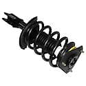 Complete Strut Assembly: Includes Strut, Coil Spring, and Mount