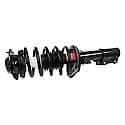 Complete Strut Assembly: Includes Strut, Coil Spring, and Mount