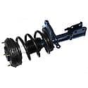 Complete Strut Assembly: Includes Strut, Coil Spring, and Mount