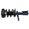 Complete Strut Assembly: Includes Strut, Coil Spring, and Mount