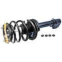 Complete Strut Assembly: Includes Strut, Coil Spring, and Mount