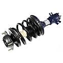 Complete Strut Assembly: Includes Strut, Coil Spring, and Mount