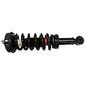 Complete Strut Assembly: Includes Strut, Coil Spring, and Mount