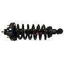 Complete Strut Assembly: Includes Strut, Coil Spring, and Mount