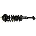 Complete Strut Assembly: Includes Strut, Coil Spring, and Mount