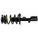 Complete Strut Assembly: Includes Strut, Coil Spring, and Mount