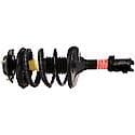 Complete Strut Assembly: Includes Strut, Coil Spring, and Mount