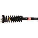 Complete Strut Assembly: Includes Strut, Coil Spring, and Mount