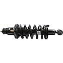 Complete Strut Assembly: Includes Strut, Coil Spring, and Mount