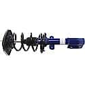 Complete Strut Assembly: Includes Strut, Coil Spring, and Mount