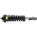 Complete Strut Assembly: Includes Strut, Coil Spring, and Mount