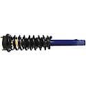 Complete Strut Assembly: Includes Strut, Coil Spring, and Mount