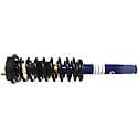 Complete Strut Assembly: Includes Strut, Coil Spring, and Mount