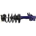 Complete Strut Assembly: Includes Strut, Coil Spring, and Mount