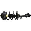 Complete Strut Assembly: Includes Strut, Coil Spring, and Mount