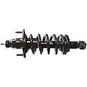 Complete Strut Assembly: Includes Strut, Coil Spring, and Mount