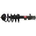 Complete Strut Assembly: Includes Strut, Coil Spring, and Mount