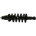 Complete Strut Assembly: Includes Strut, Coil Spring, and Mount