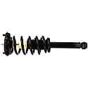 Complete Strut Assembly: Includes Strut, Coil Spring, and Mount