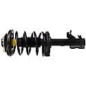 Complete Strut Assembly: Includes Strut, Coil Spring, and Mount