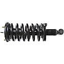 Complete Strut Assembly: Includes Strut, Coil Spring, and Mount