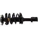 Complete Strut Assembly: Includes Strut, Coil Spring, and Mount