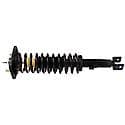 Complete Strut Assembly: Includes Strut, Coil Spring, and Mount