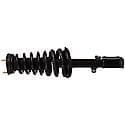 Complete Strut Assembly: Includes Strut, Coil Spring, and Mount