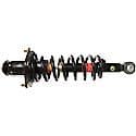 Complete Strut Assembly: Includes Strut, Coil Spring, and Mount