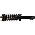 Complete Strut Assembly: Includes Strut, Coil Spring, and Mount