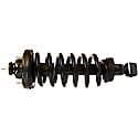 Complete Strut Assembly: Includes Strut, Coil Spring, and Mount