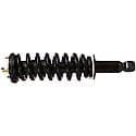 Complete Strut Assembly: Includes Strut, Coil Spring, and Mount