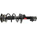 Complete Strut Assembly: Includes Strut, Coil Spring, and Mount