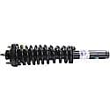 Complete Strut Assembly: Includes Strut, Coil Spring, and Mount