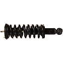 Complete Strut Assembly: Includes Strut, Coil Spring, and Mount