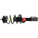 Complete Strut Assembly: Includes Strut, Coil Spring, and Mount