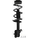 Complete Strut Assembly: Includes Strut, Coil Spring, and Mount